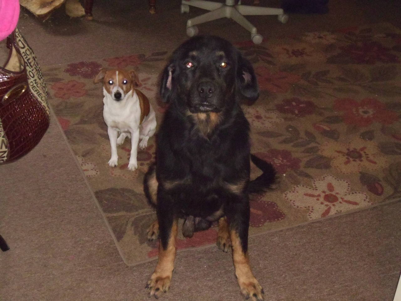 tracker and minnie