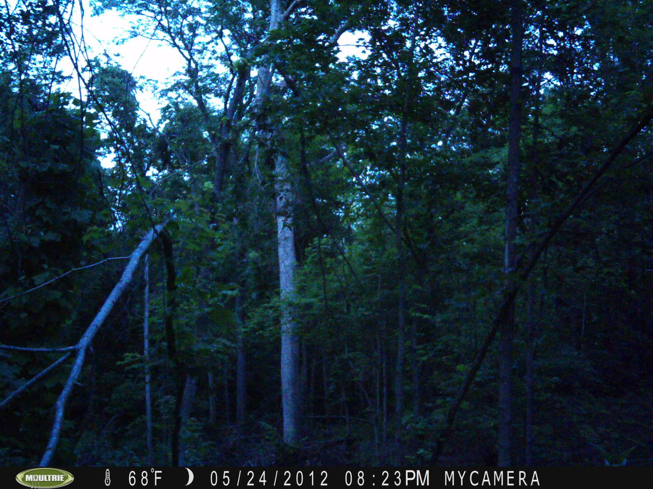 trail_1_creek_008