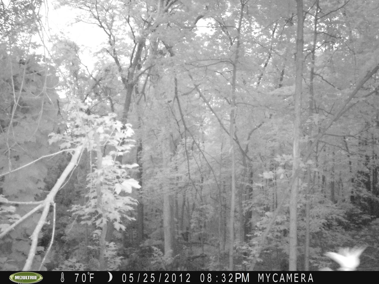 trail_1_creek_010