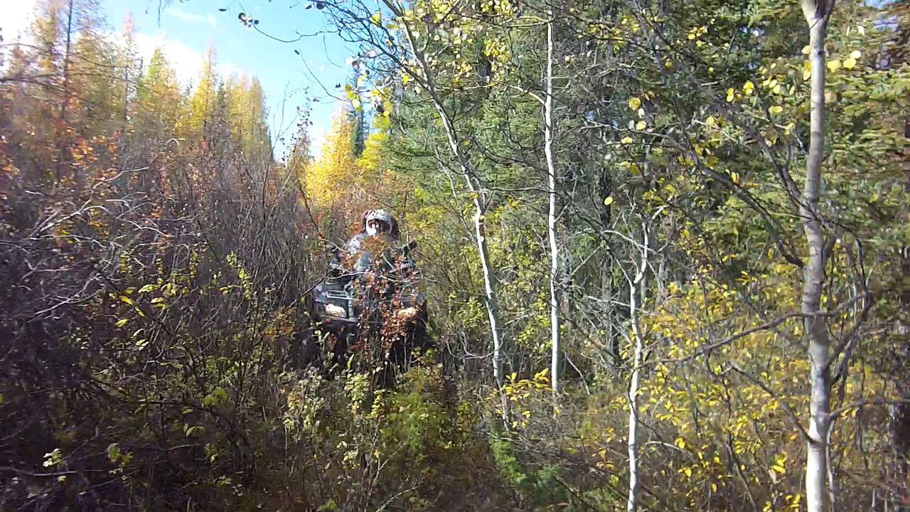 vlcsnap-2013-10-07-19h46m01s8