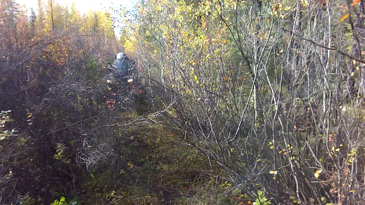 vlcsnap-2013-10-07-19h46m06s54