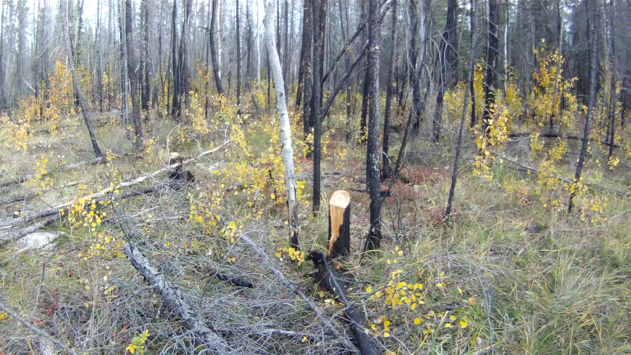 vlcsnap-2013-10-19-18h48m47s242