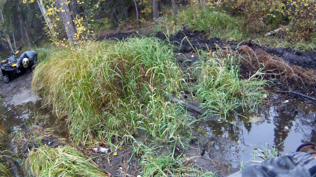 vlcsnap-2014-07-20-19h54m50s184