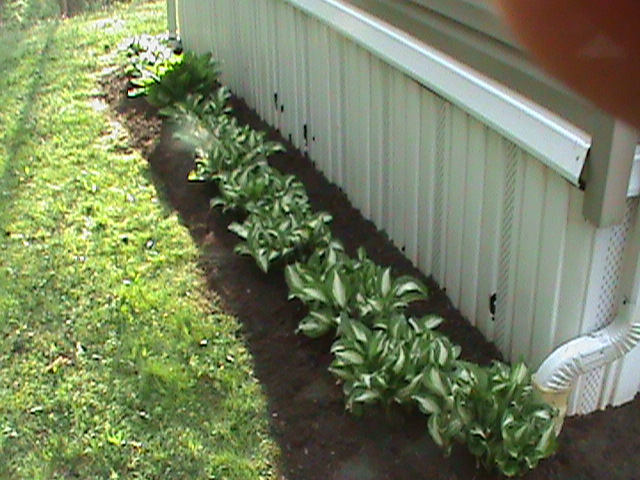 weed control 2013