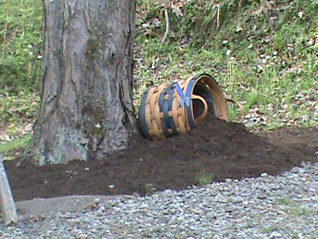 weed control 2013