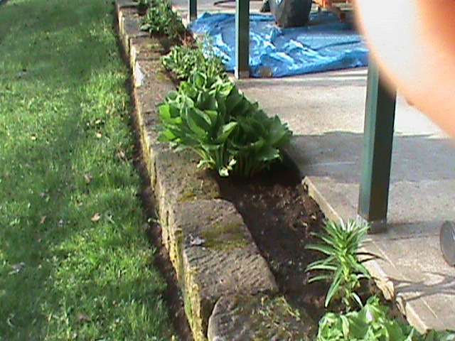 weed control 2013
