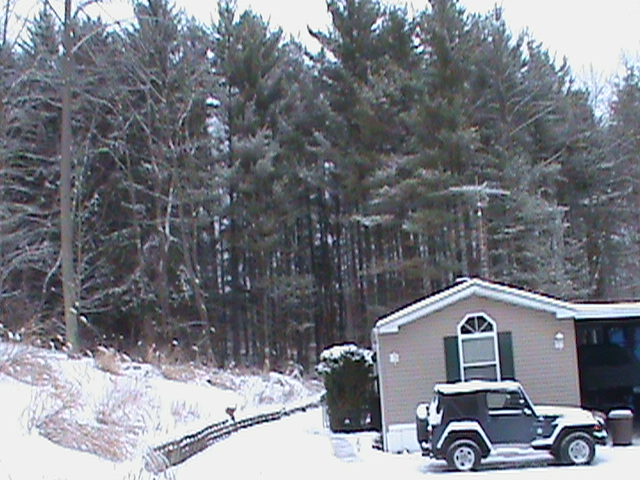 winter wonderland