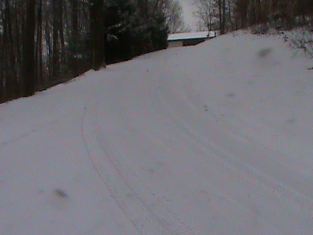 winter wonderland