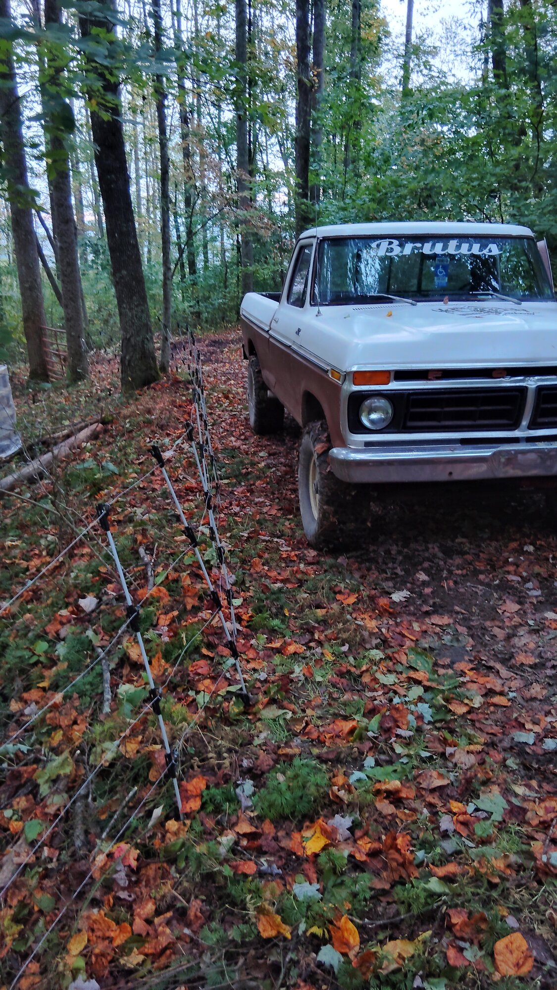 1978 Ford F150 Off-Road -  Ford Truck Profile