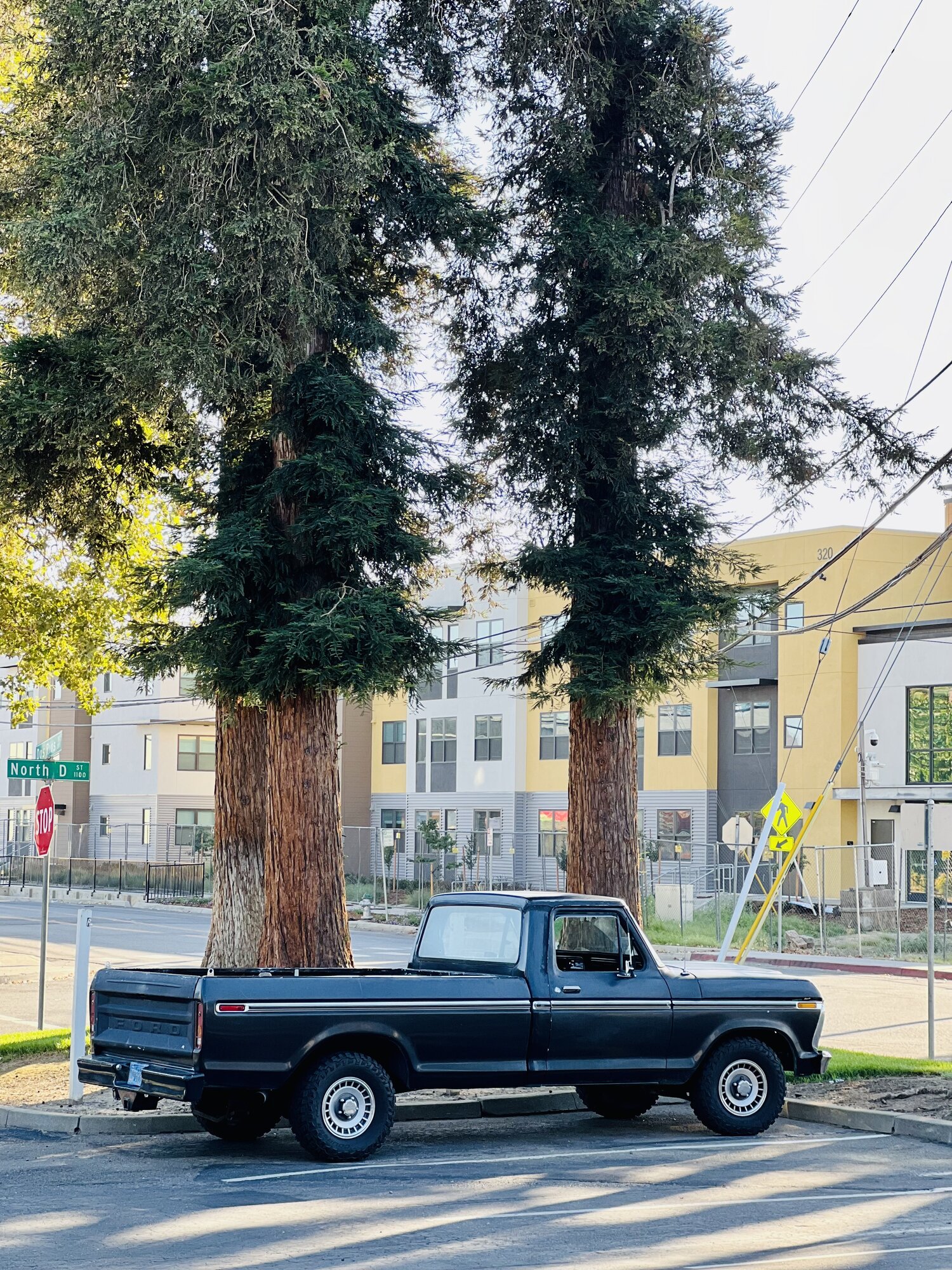 1977 Ford F150 Stock -  Ford Truck Profile