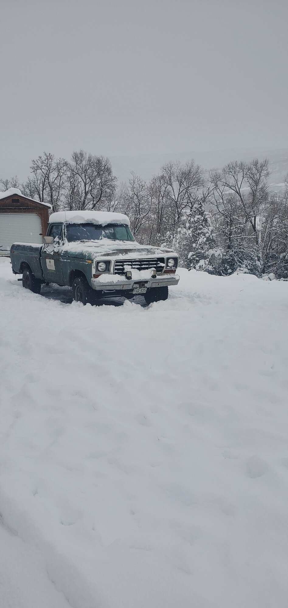 1978 Ford F150 - Stock 1798 F-150 Custom Off-Road -  Ford Truck Profile